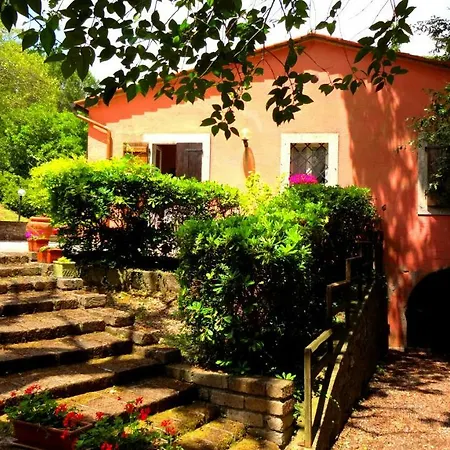 Il Vigneto *