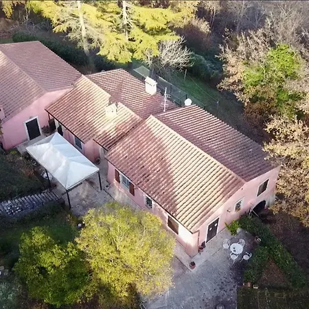 Il Vigneto Penzion *