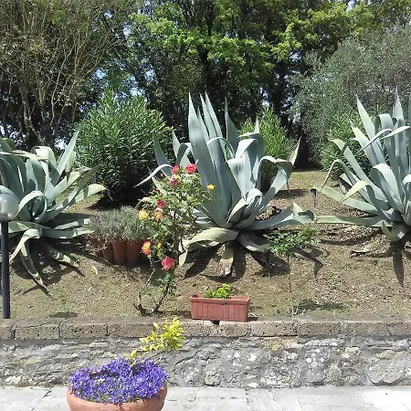 Il Vigneto Guest house
